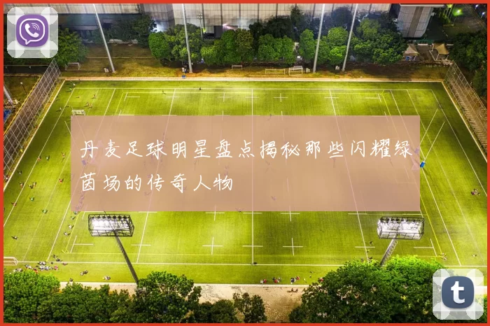 丹麦足球明星盘点揭秘那些闪耀绿茵场的传奇人物