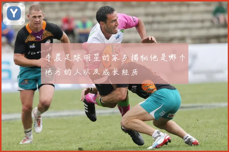 李晨足球明星的家乡揭秘他是哪个地方的人以及成长经历