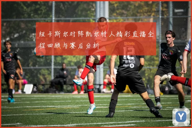纽卡斯尔对阵凯尔特人精彩直播全程回顾与赛后分析