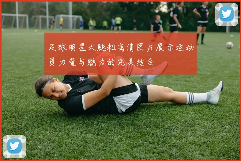 足球明星大腿粗高清图片展示运动员力量与魅力的完美结合