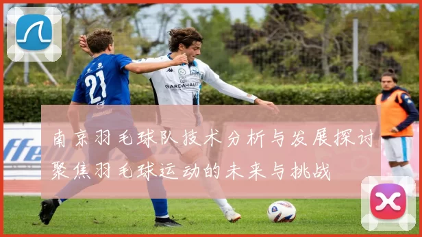 南京羽毛球队技术分析与发展探讨聚焦羽毛球运动的未来与挑战